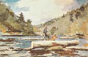 Winslow Homer Hudson River, Logging oil painting artist